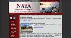 Desktop Screenshot of nainsagency.com